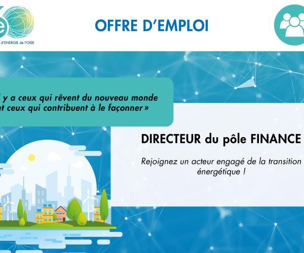 Emploi directeur finance