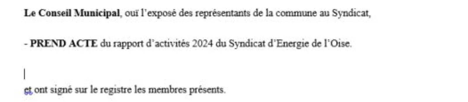 Modèle délibération - Rapport d'activités 2024