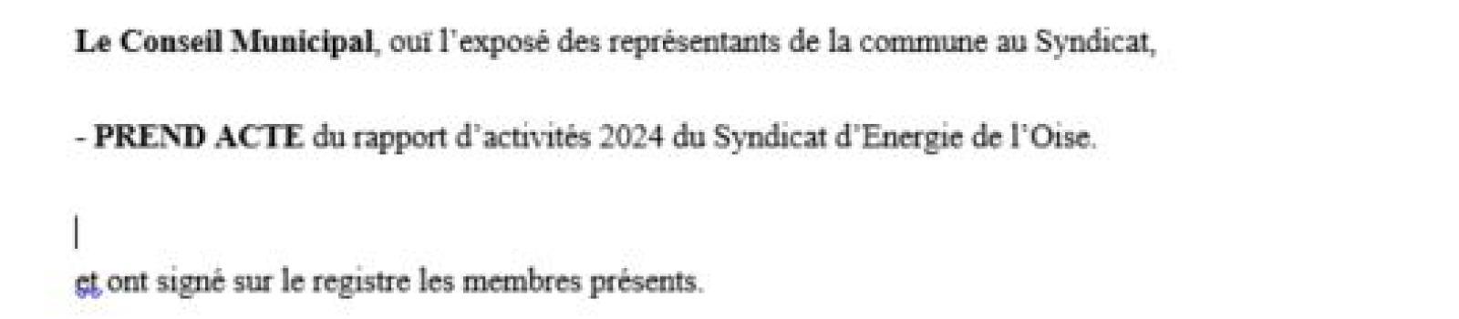 Modèle délibération - Rapport d'activités 2024